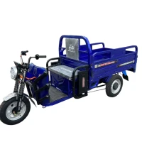 Грузовой электротрицикл Maikaolin Синий